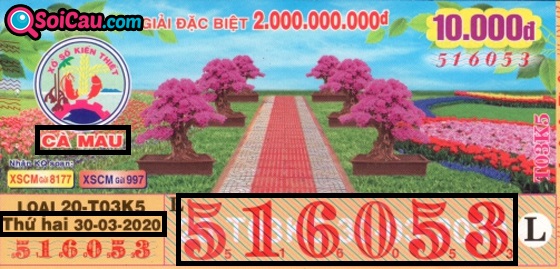 Lưu ý khi dò vé số Cà Mau